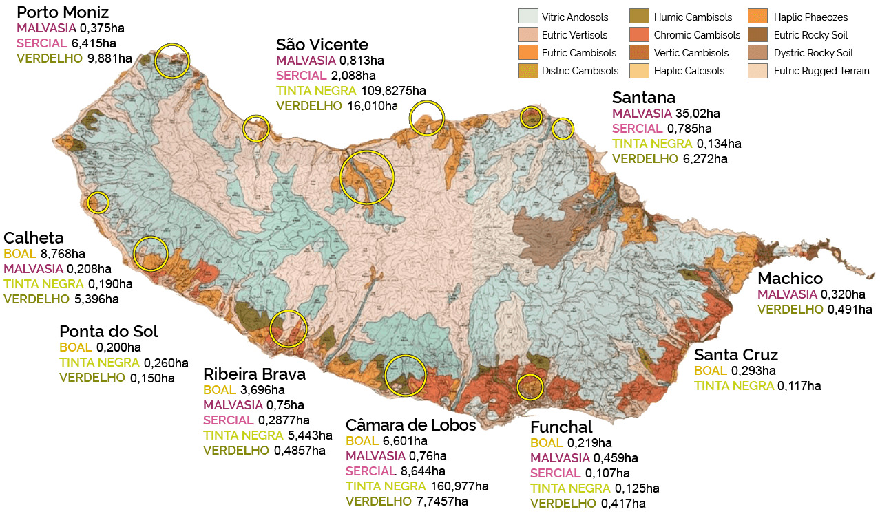 madeira wine map
